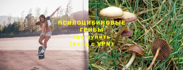 таблы Протвино