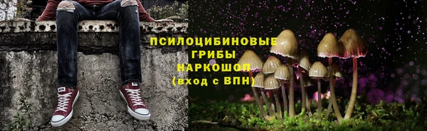 ГАЛЛЮЦИНОГЕННЫЕ ГРИБЫ Абдулино