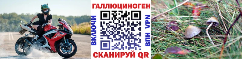 shop клад  Абдулино  Галлюциногенные грибы Cubensis 